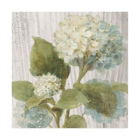 Danhui Nai 'Scented Cottage Florals Iv' Canvas Art,14x14